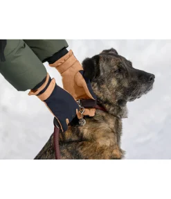 Gants d'équitation d'hiver Zermatt