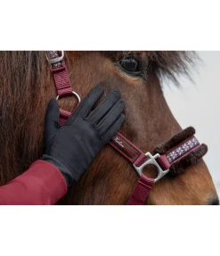 Gants d'équitation hiver