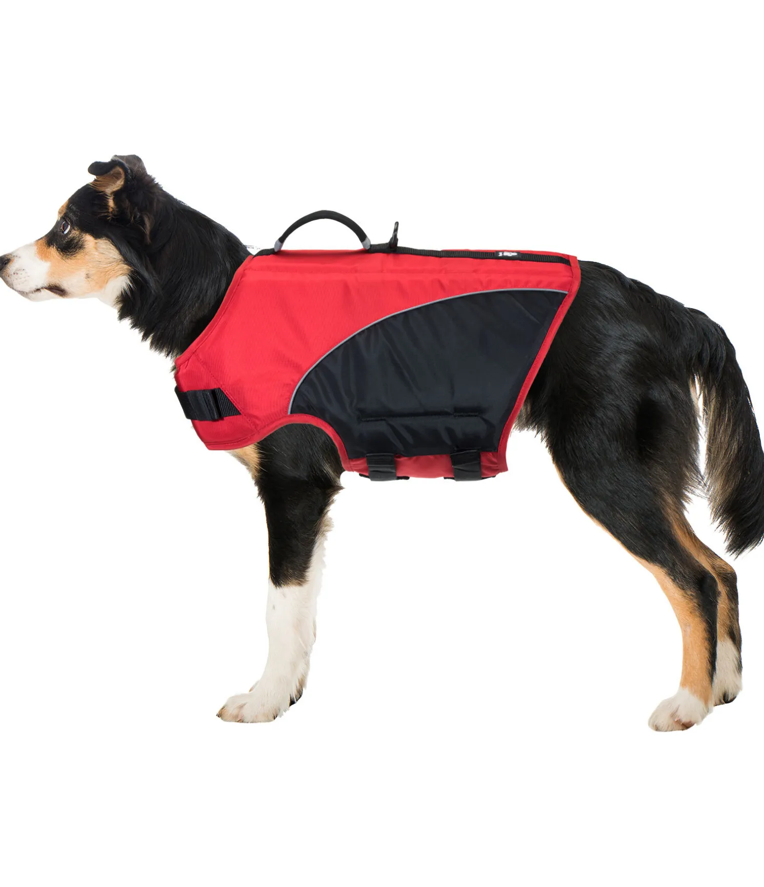 Gilet de sauvetage pour chien Life Guard