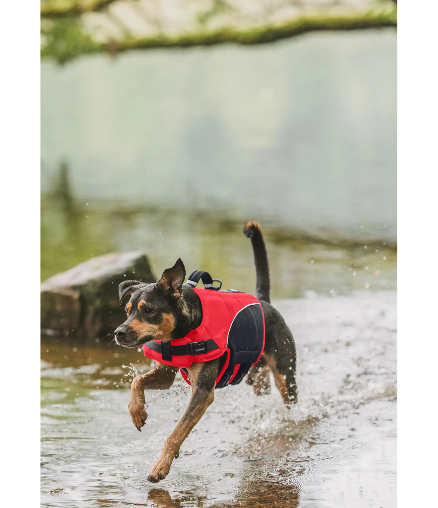 Gilet de sauvetage pour chien Life Guard