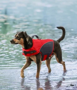 Gilet de sauvetage pour chien Life Guard