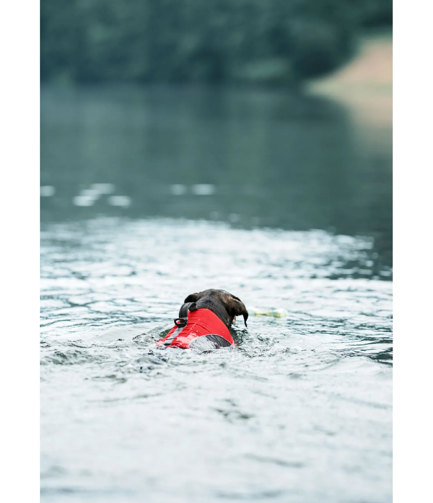 Gilet de sauvetage pour chien Life Guard