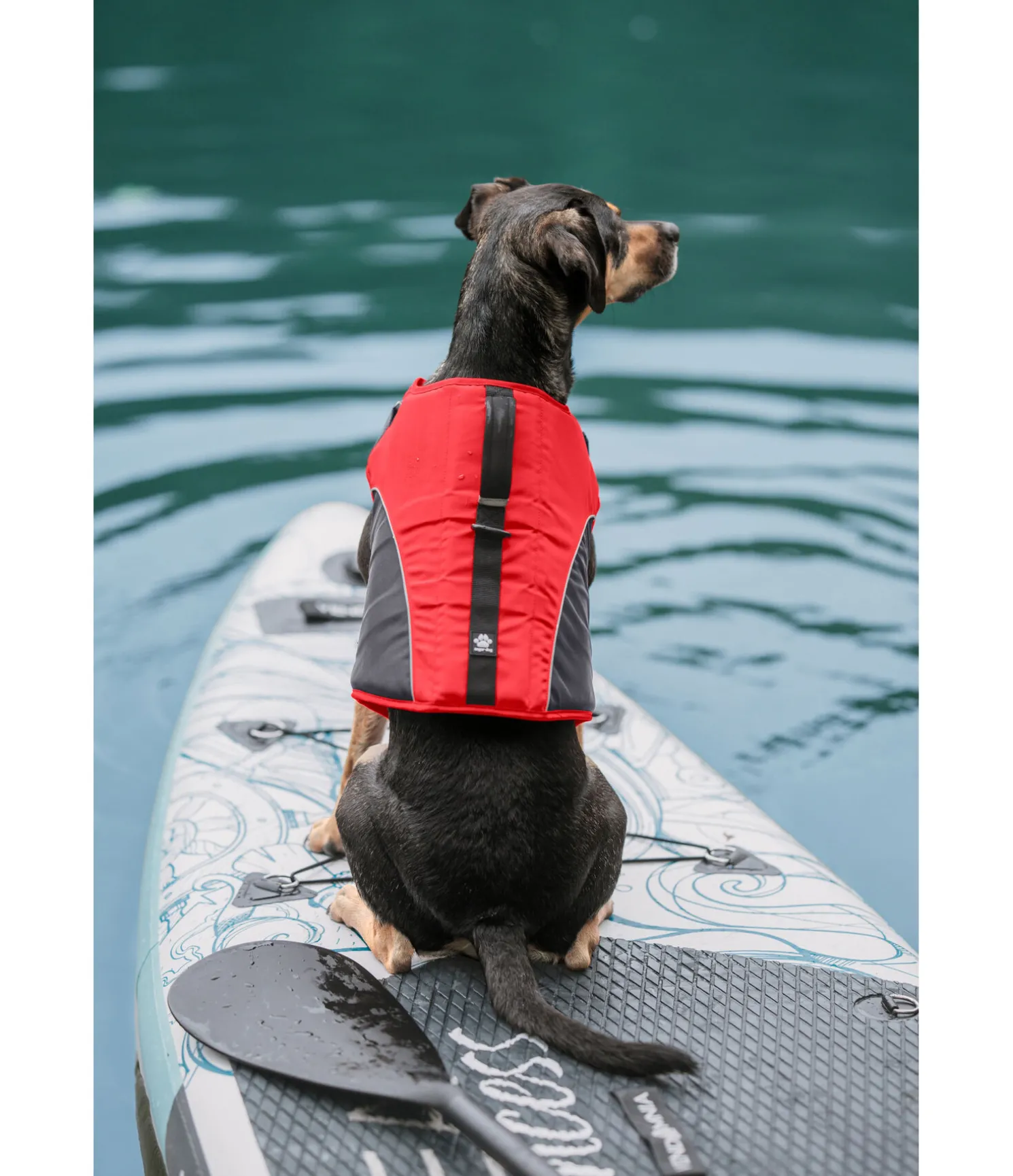 Gilet de sauvetage pour chien Life Guard
