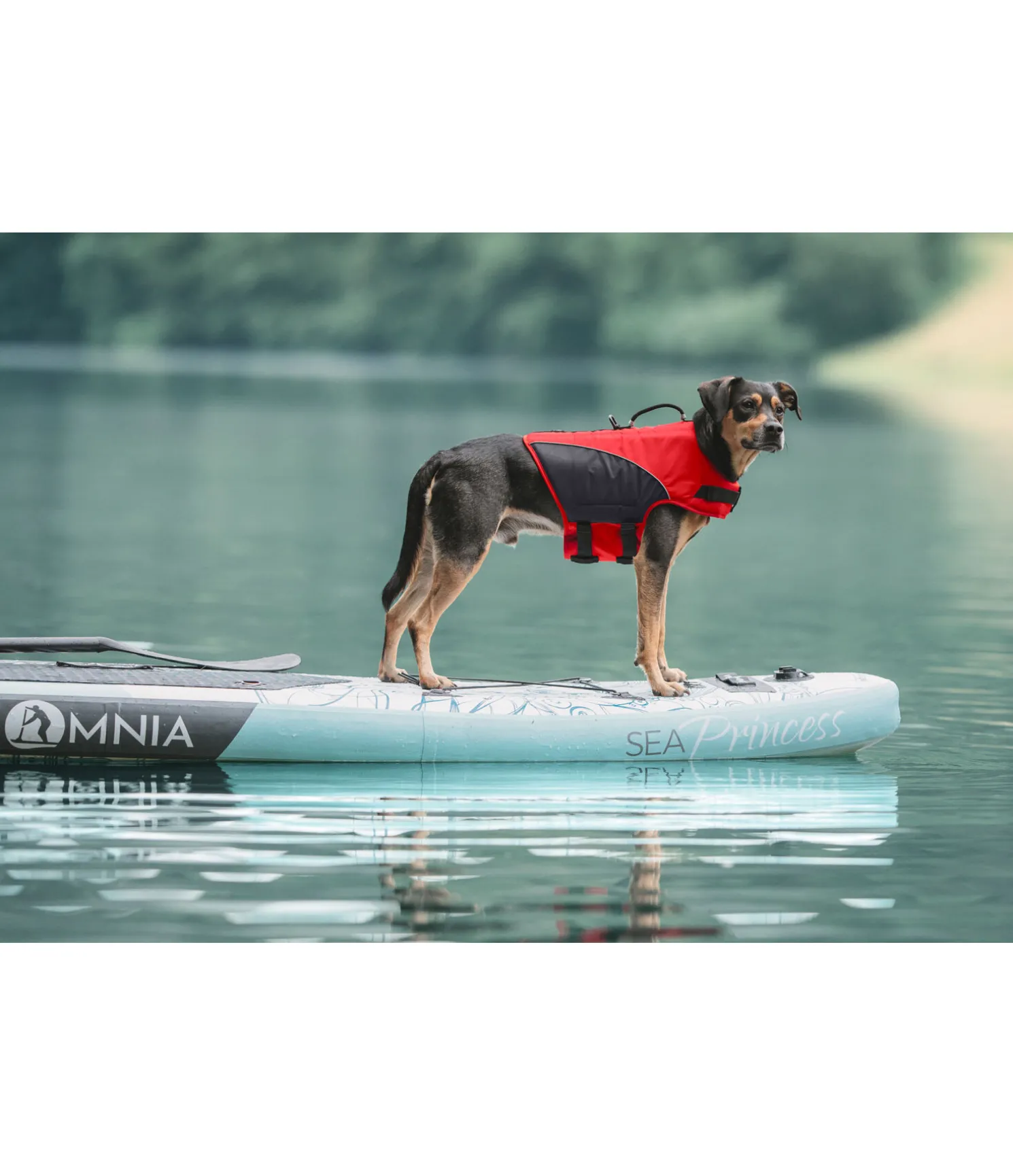 Gilet de sauvetage pour chien Life Guard