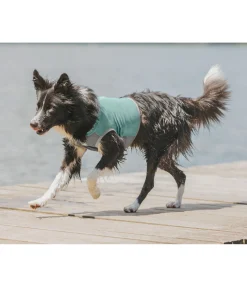 Gilet rafraîchissant pour chien Refresh