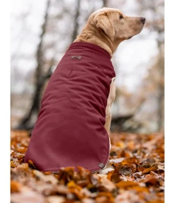 Gilet softshell réversible pour chien Willa, 80 g
