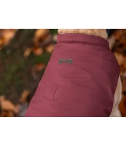 Gilet softshell réversible pour chien Willa, 80 g