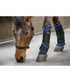 Guêtres d'écurie Air