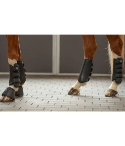 Guêtres de dressage Dressur-Derby