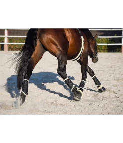 Guêtres de dressage postérieures en polaire Teddy