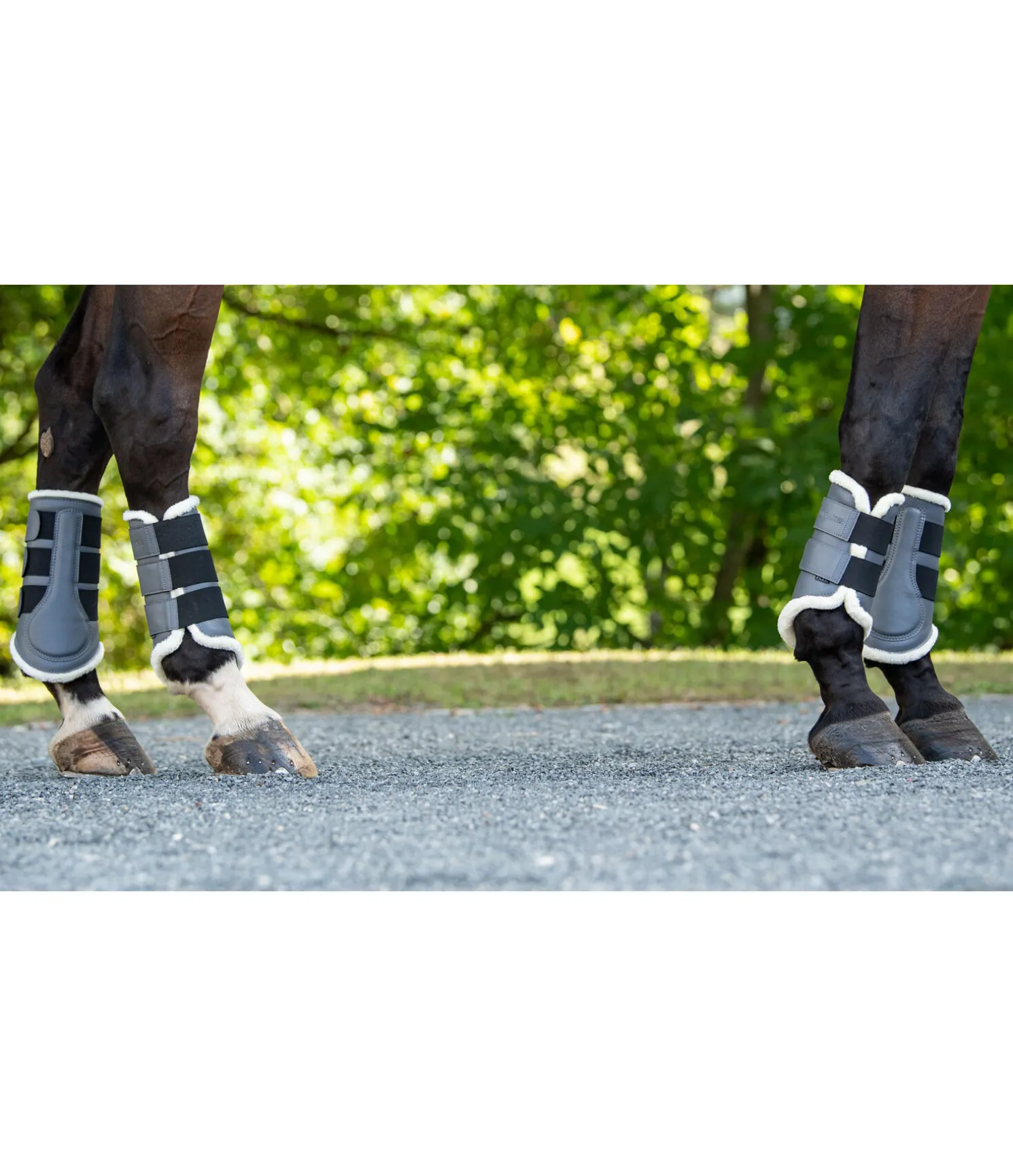 Guêtres de dressage postérieures en polaire Teddy