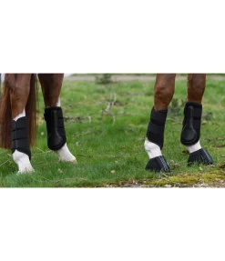 Guêtres d'entraînement , antérieurs