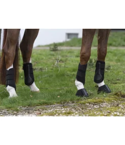 Guêtres d'entraînement , postérieurs