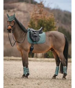 Guêtres en mesh Glitter, postérieurs