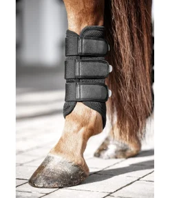 Guêtres en mesh Glitter, postérieurs