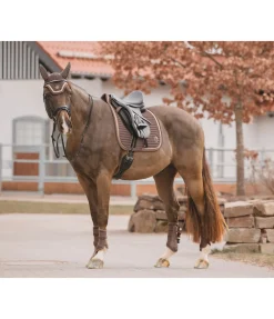 Guêtres en mesh Glitter, postérieurs