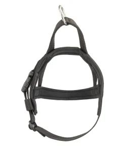 Harnais norvégien Miley