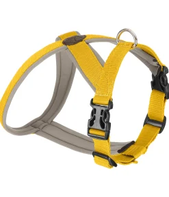 Harnais pour chien Piper