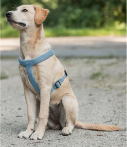 Harnais pour chien Piper