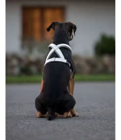 Harnais réfléchissant pour chien