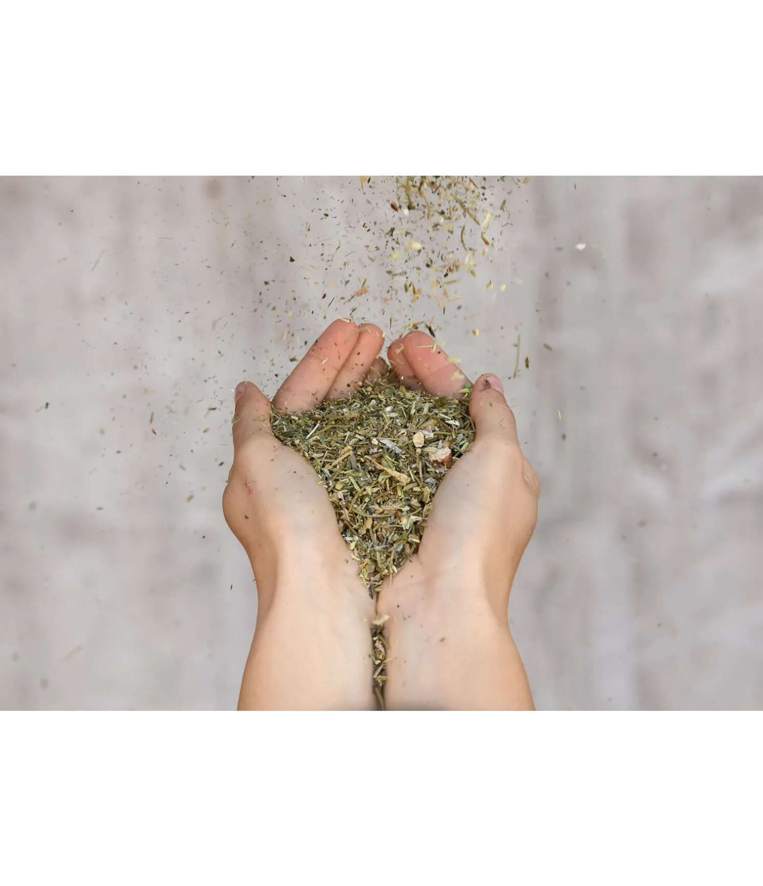 Herbes pour bronches