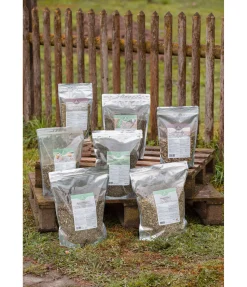 Herbes pour bronches