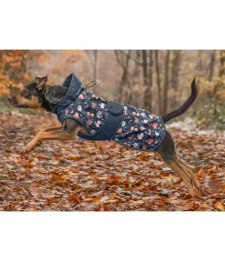Imperméable pour chien Pumpkin Spice, 0 g