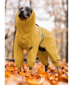 Imperméable pour chien Sequoia II, 0 g