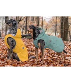 Imperméable pour chien Waterton Lakes, 0 g