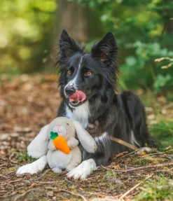 Jouet en peluche pour chien Bunny