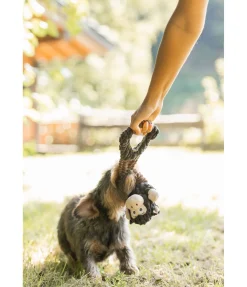 Jouet en peluche pour chien Bounce