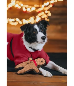 Jouet pour chien Gingerman