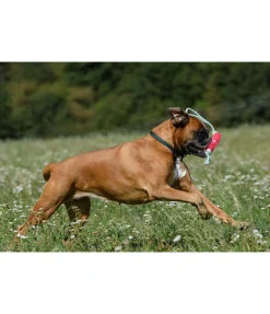 Jouet pour chien Mia