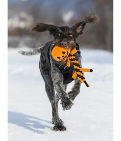 Jouet pour chien Pumpkin