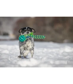 Jouet soins dentaires pour chien Cleo