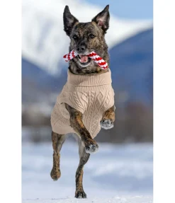 Jouet sucre d'orge en corde pour chien