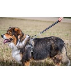 Laisse courte pour chien Waterpoof