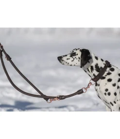 Laisse en cuir cousu rond pour chien Certaldo