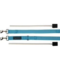 Laisse pour chien LED Loom