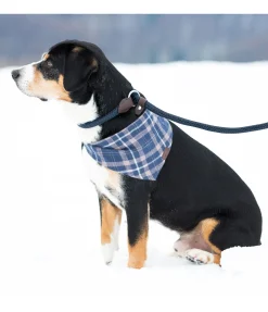 Laisse retriever Nature Rope