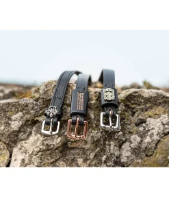 Lanières d'éperons Sparkle