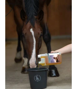 Électrolyte liquide