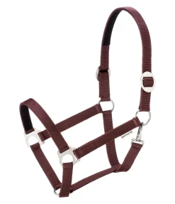 Licol Interchangeable