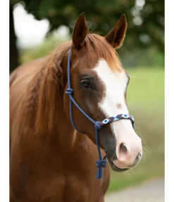 Licol à noeuds Beaded