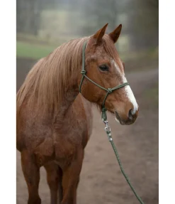 Licol à noeuds Haylie