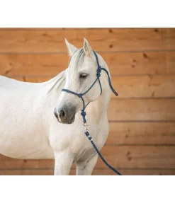 Licol à noeuds Haylie