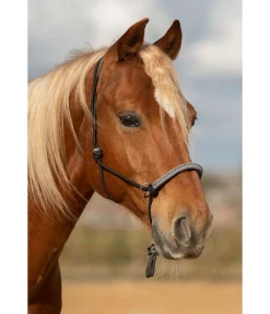 Licol à noeuds Lino