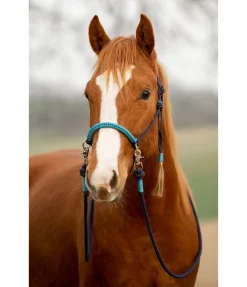 Licol à noeuds Lino