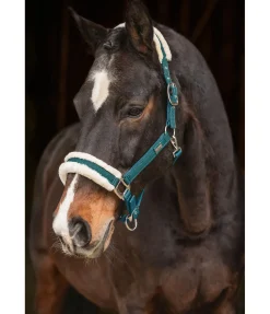 Licol Sparkling II
