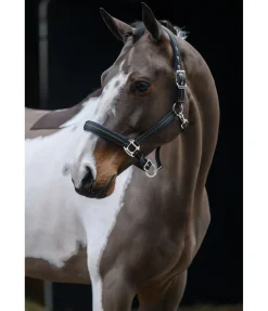 Licol Swiss Design II